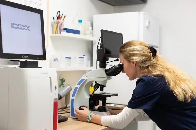 Laboratoire d’analyse vétérinaire